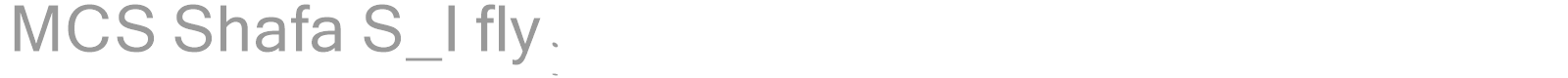 MCS Shafa S_I fly. font preview